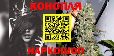 метадон Шелехов