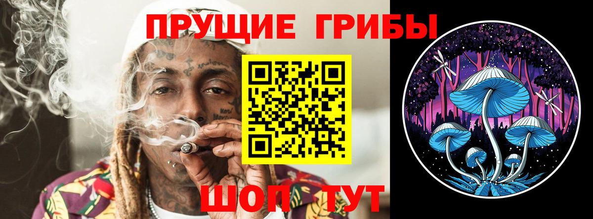 Галлюциногенные грибы GOLDEN TEACHER Белорецк