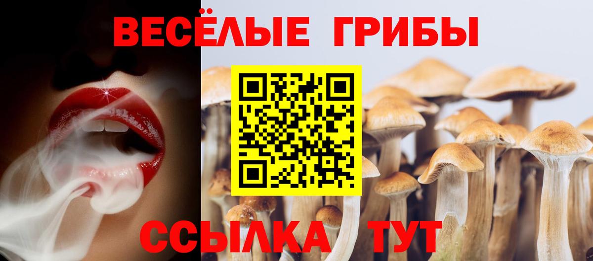 Галлюциногенные грибы MAGIC MUSHROOMS  как найти закладки  Белорецк  Вход с VPN 